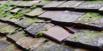 Bodewryd roof repair costs